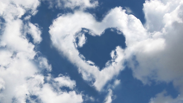 安博体育官网：深圳龙岗健身房室内